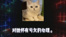 娱乐圈吃瓜游戏有哪些,揭秘明星幕后故事与娱乐八卦大揭秘