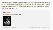 连发娱乐网址,带你领略网络娱乐新天地