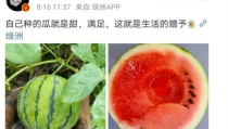 娱乐圈有什么瓜可以吃吗,揭秘明星幕后故事与热点事件