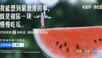 吃瓜娱乐图片文案生活,揭秘娱乐圈幕后趣闻
